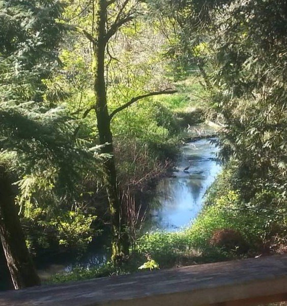 Beaverton Other: 2050 SW Pheasant Dr