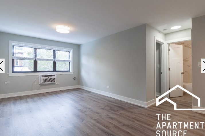 Chicago Condo: 445 West Barry Ave