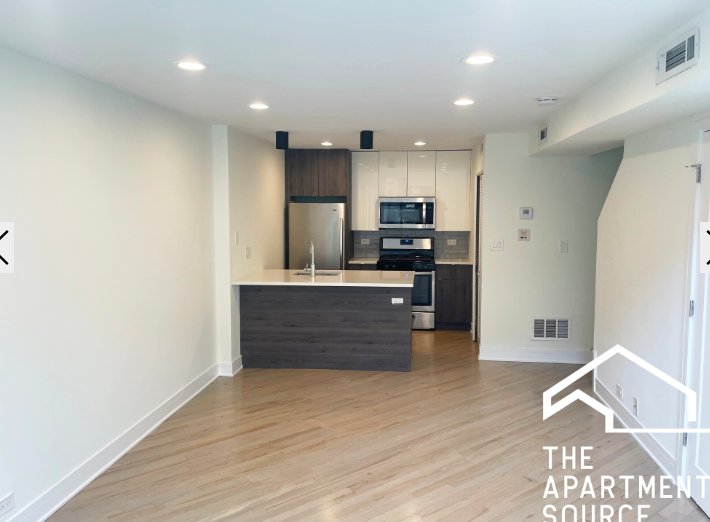 Chicago Condo: 954 West Grace St