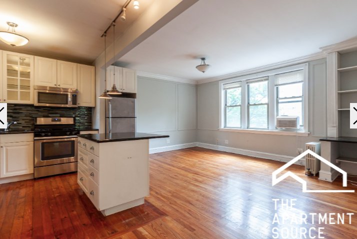 Chicago Condo: 540 West Surf St