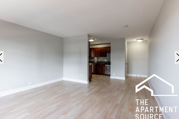 Chicago Condo: 445 West Wellington Ave