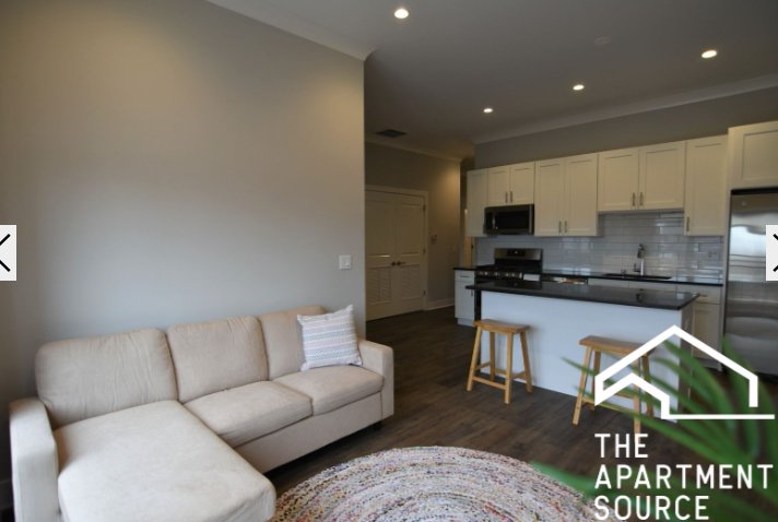 Chicago Condo: 927 West Irving Park Rd