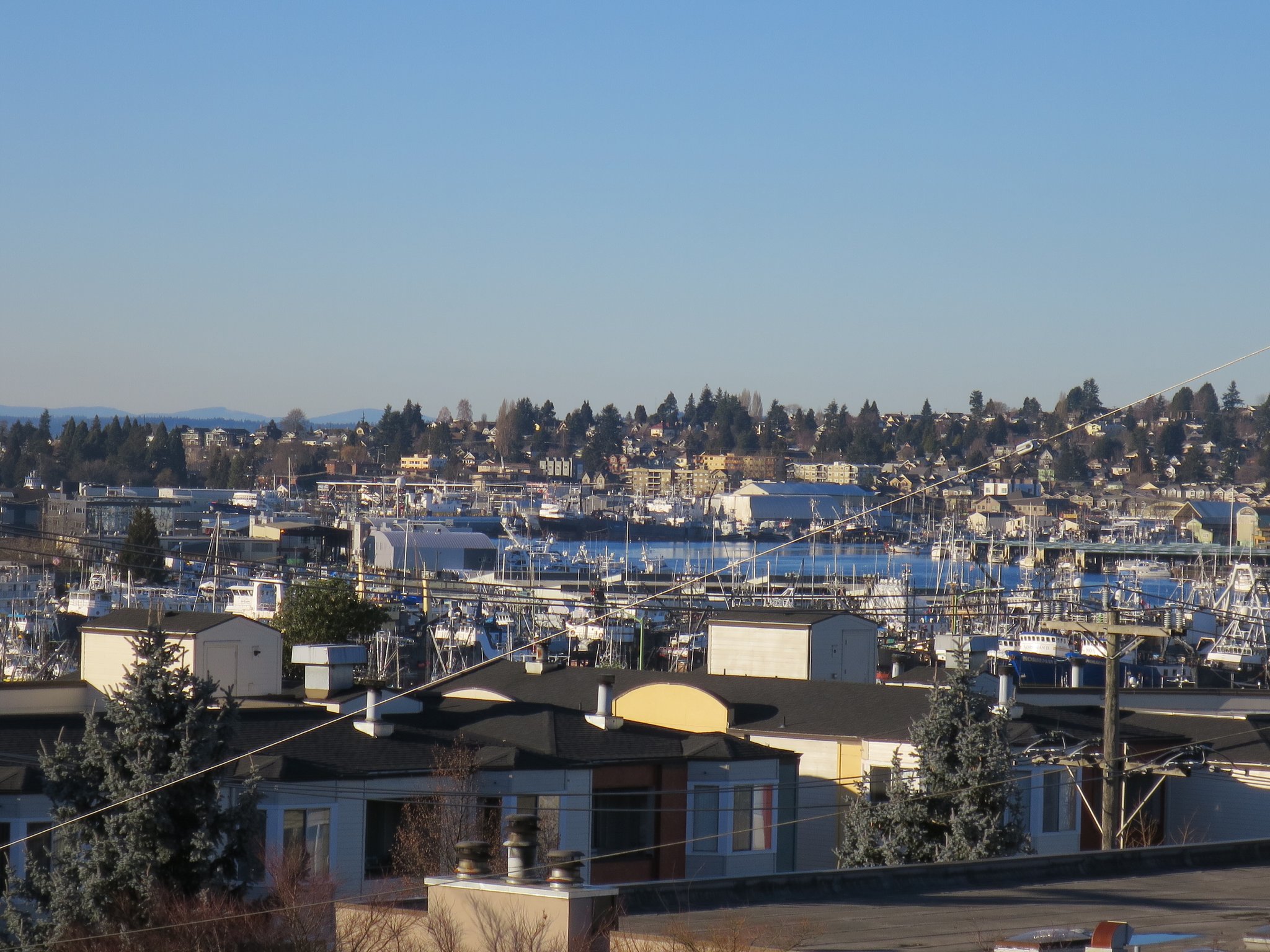 Seattle Apartment: 3655 13th Ave W