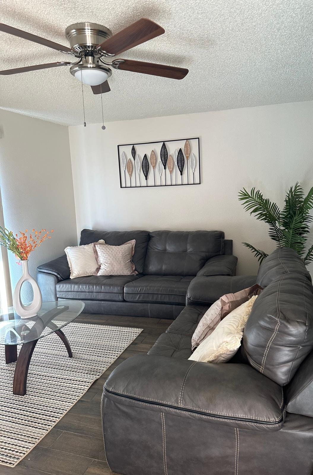 Phoenix Apartment: 4444 N 7th avenue