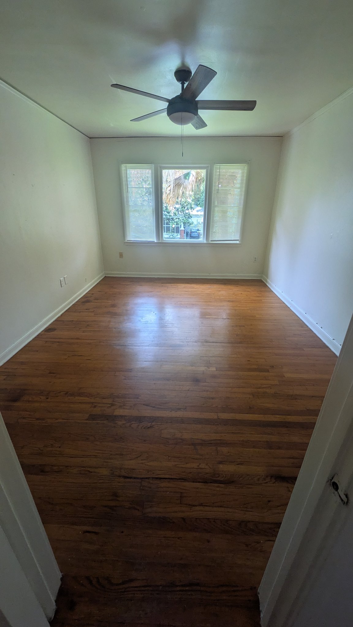 Baton Rouge Apartment: 2225 Wisteria St