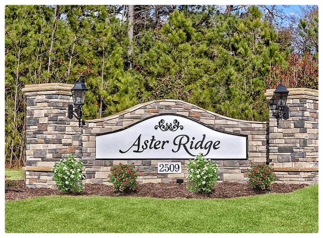 DURHAM Townhome: 3002 Chrys St