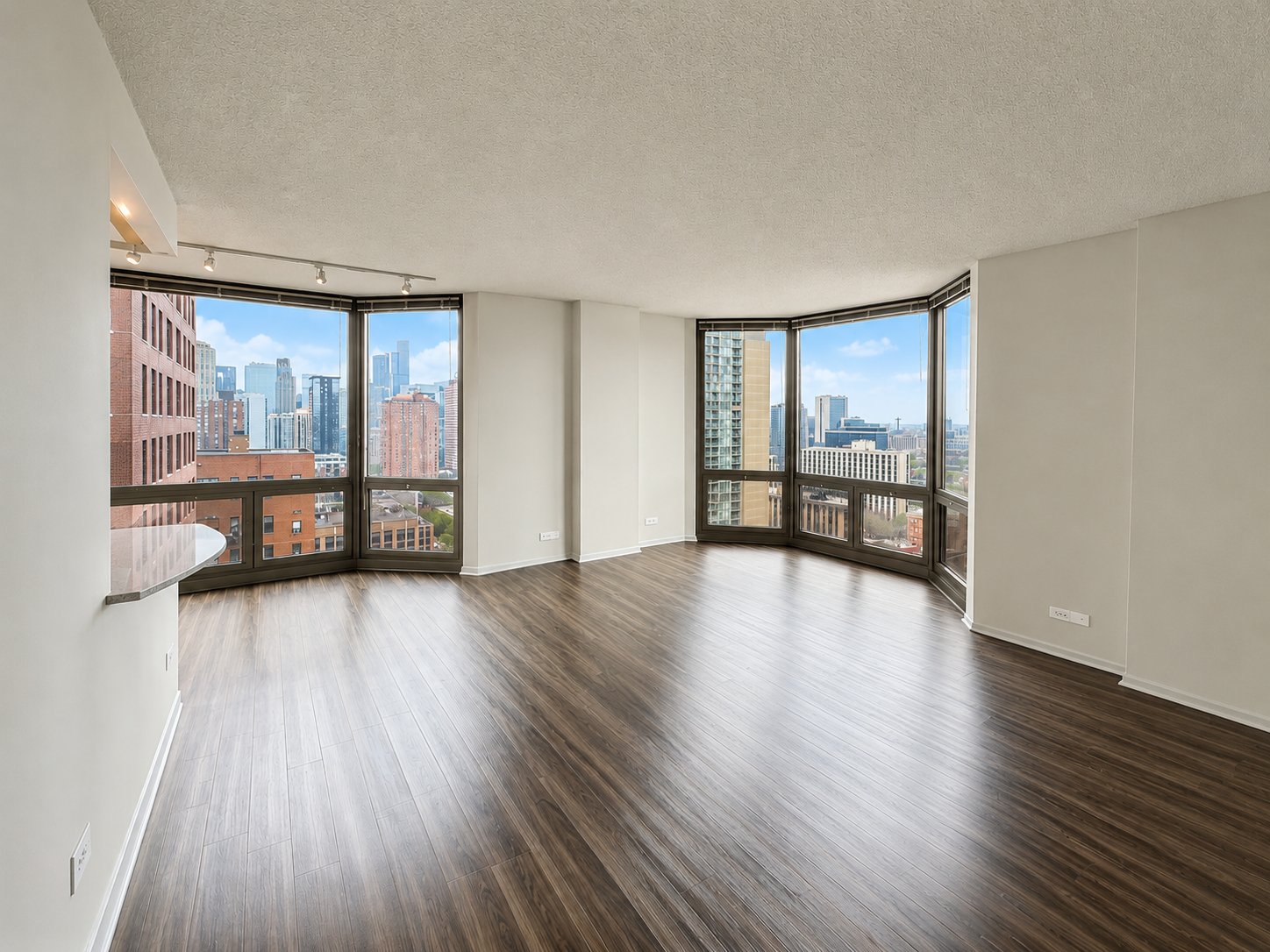 Chicago Condo: 1122 N Dearborn Street