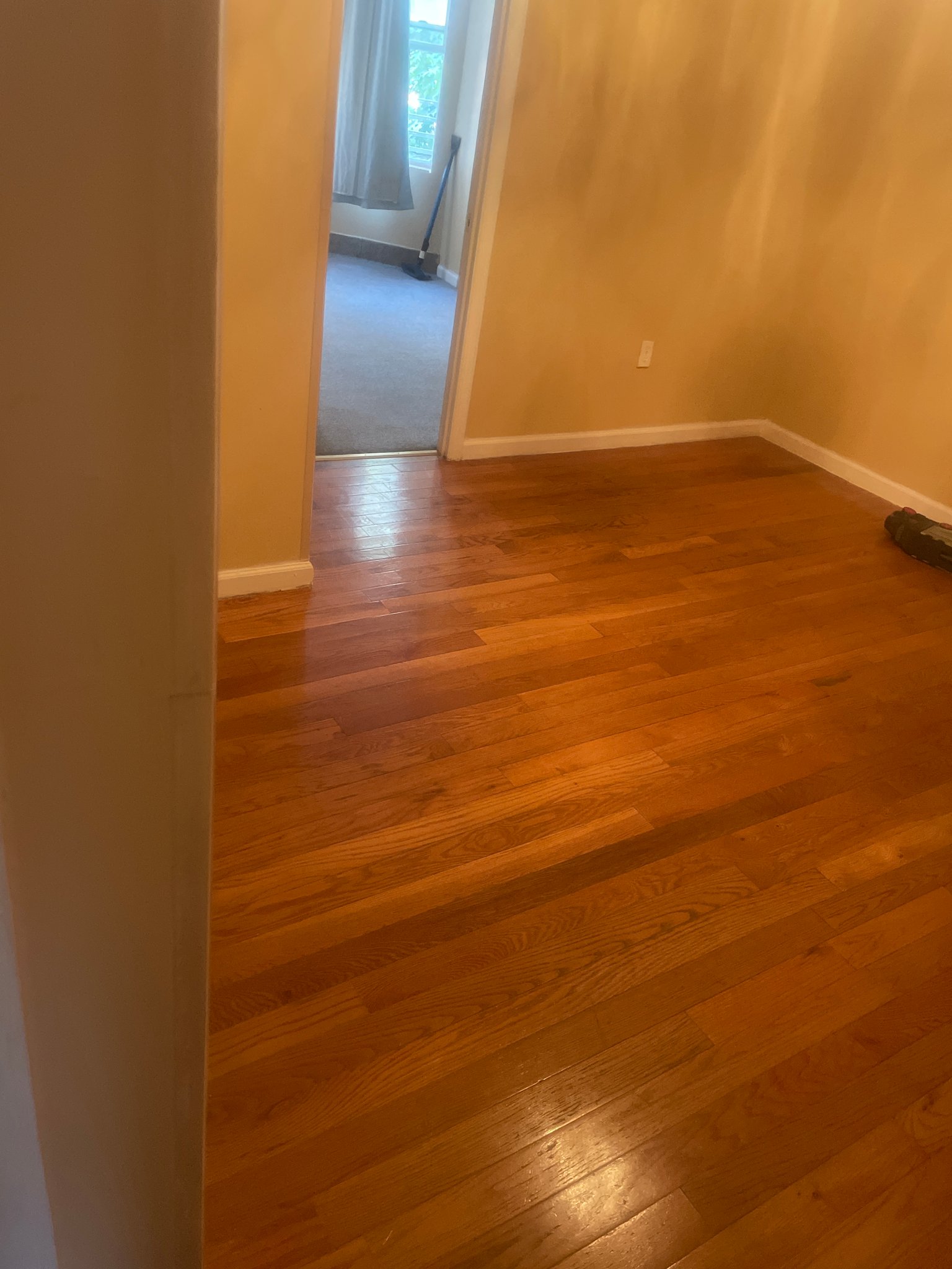 Bronx Townhome: 784 Garden street