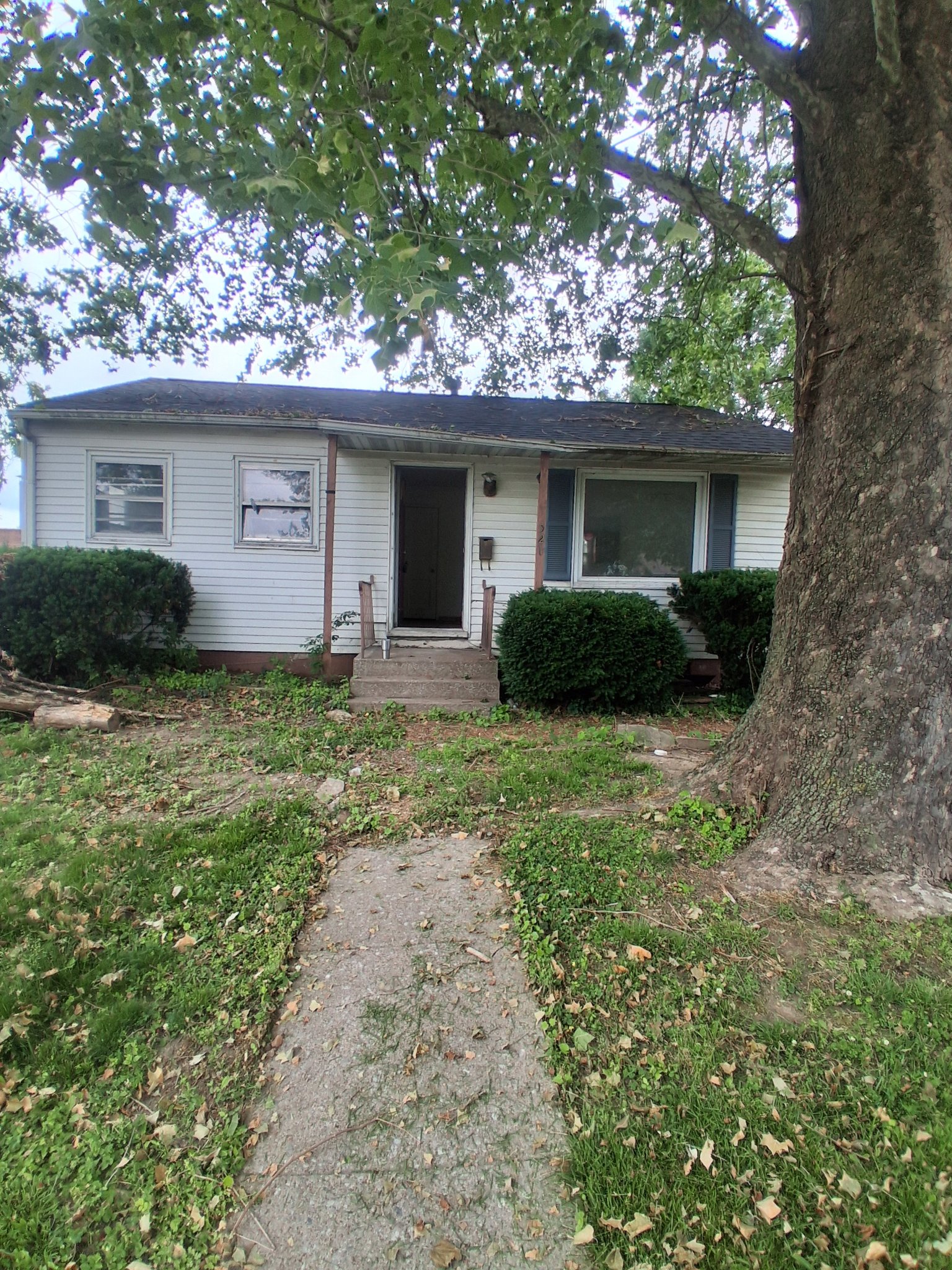 Carbondale House: 521 N Davis Street