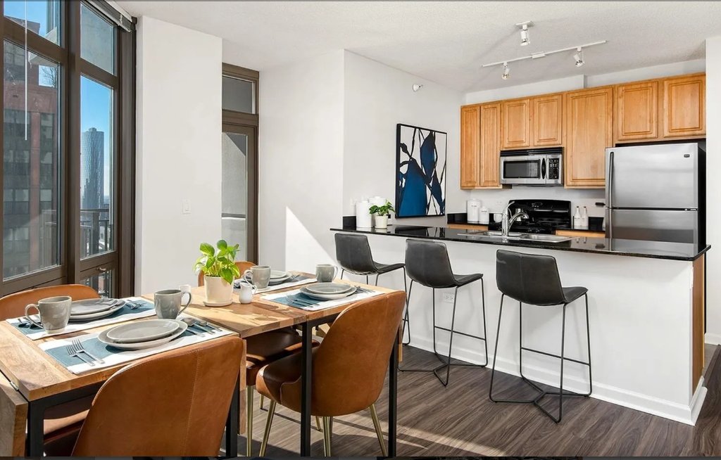 Chicago Condo: 352 N Desplaines