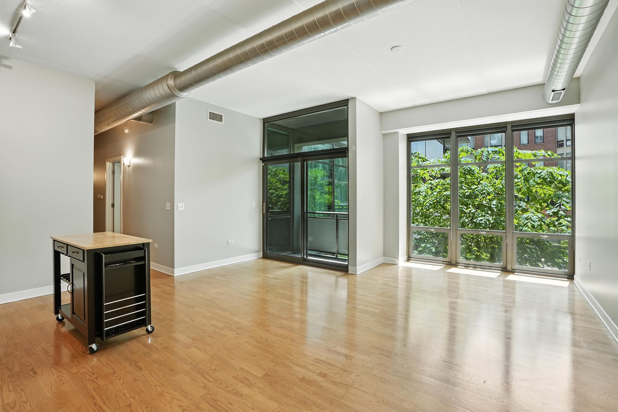 Chicago Condo: 684 w Wayman