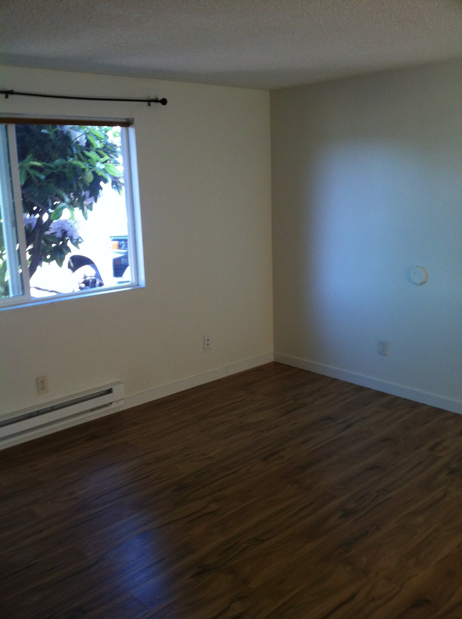 Auburn Multiplex: 802 22nd St. NE