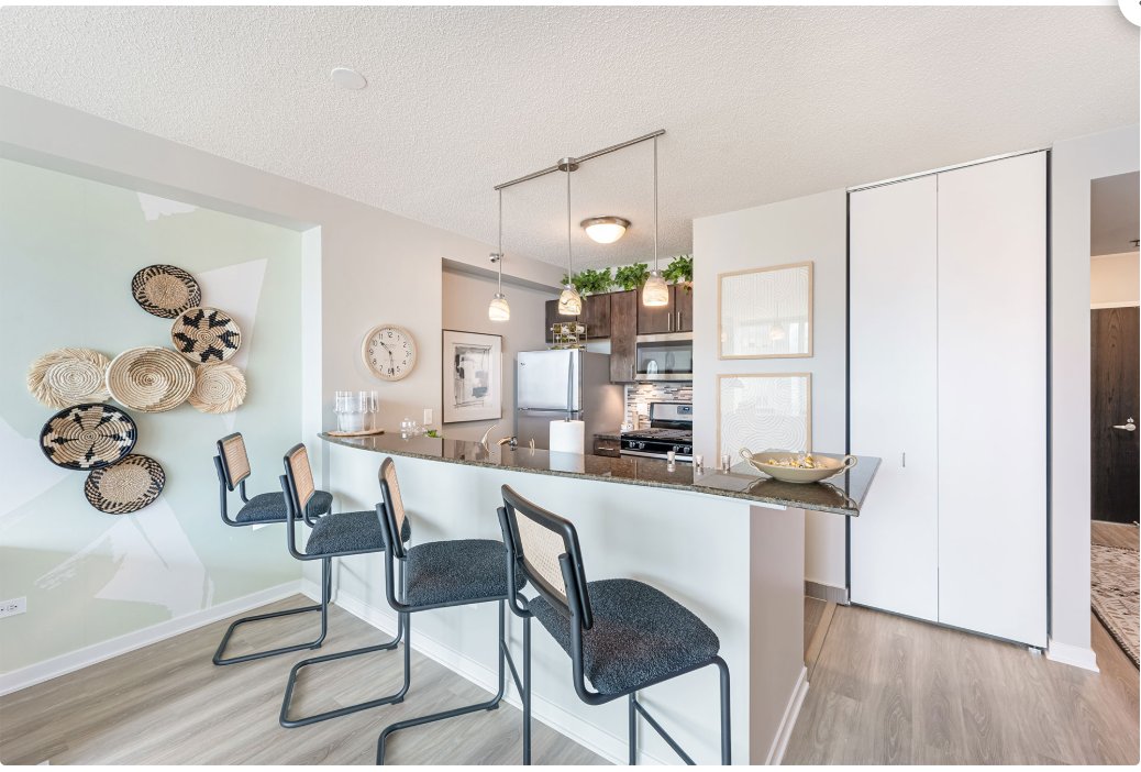 Chicago Condo: 343 E Ohio