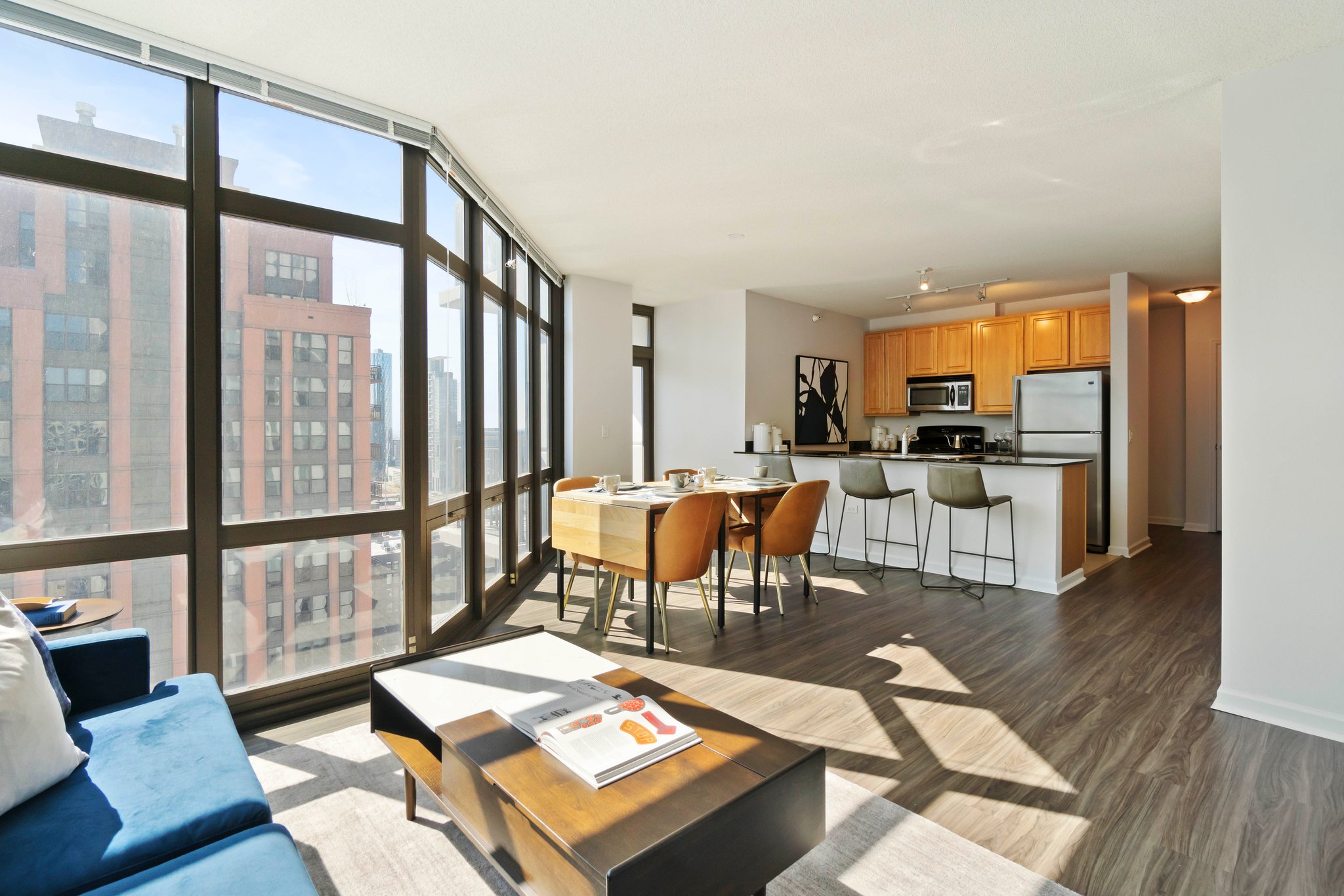 Chicago Condo: 360 N Desplaines Street
