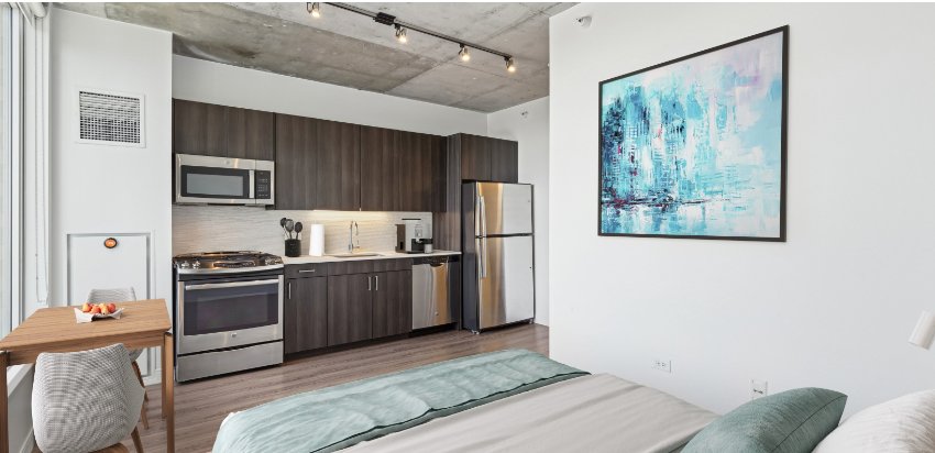 Chicago Condo: 726 N Morgan St