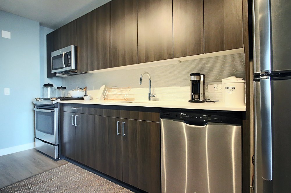 Chicago Condo: 729 N Morgan St