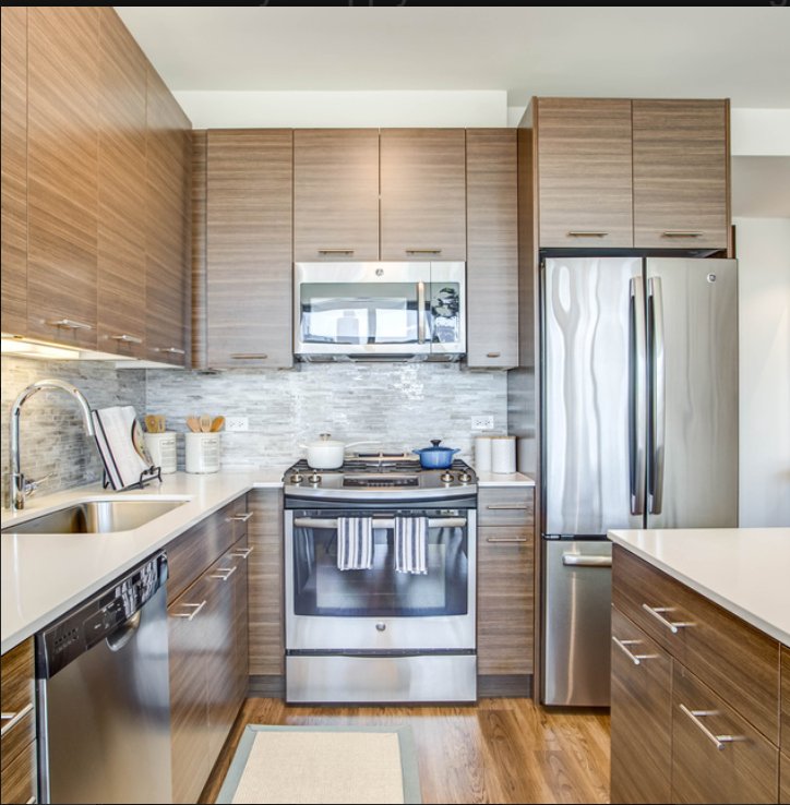 Chicago Condo: 342 W Chestnut