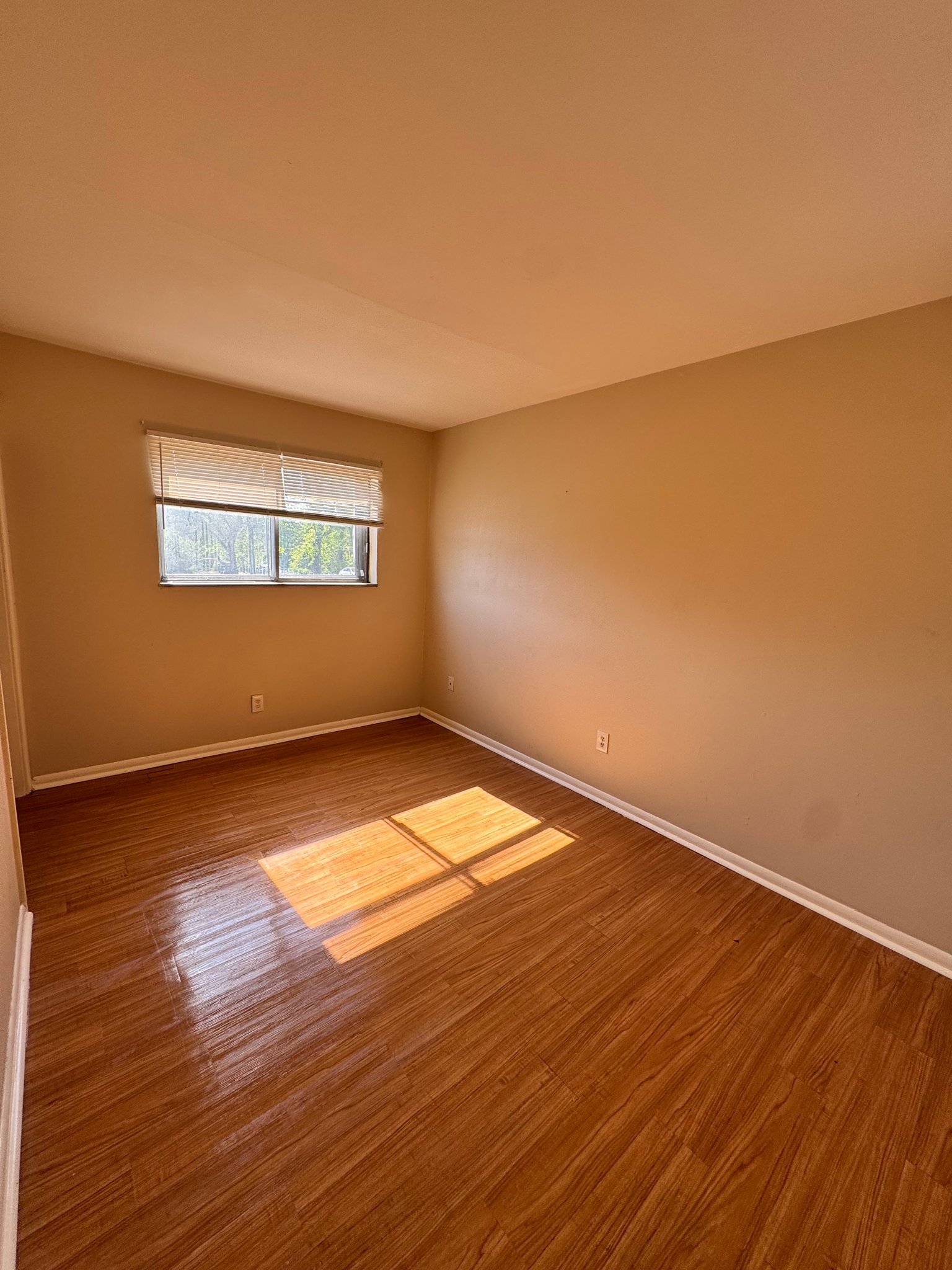 knoxville Apartment: 1901 E. 5th Ave #2