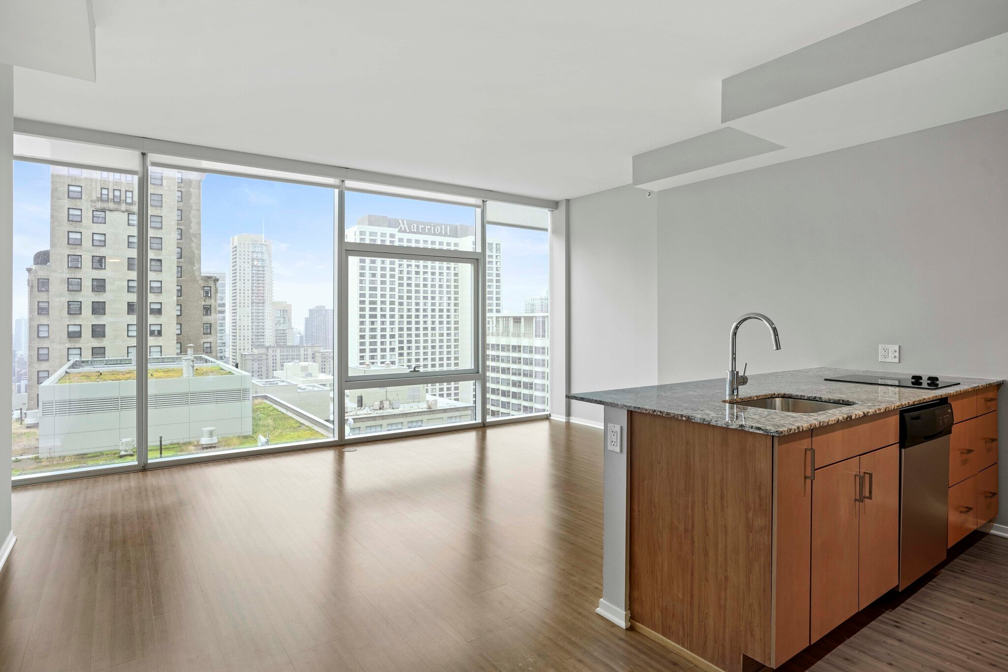 Chicago Condo: 179 East Illinois Street