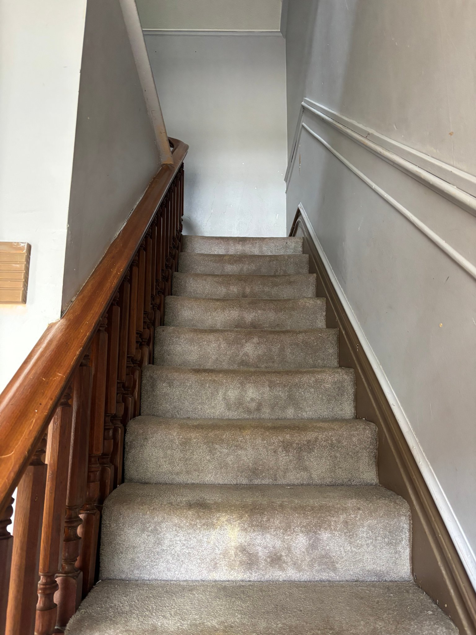 Carnegie Other: 21 Logan street