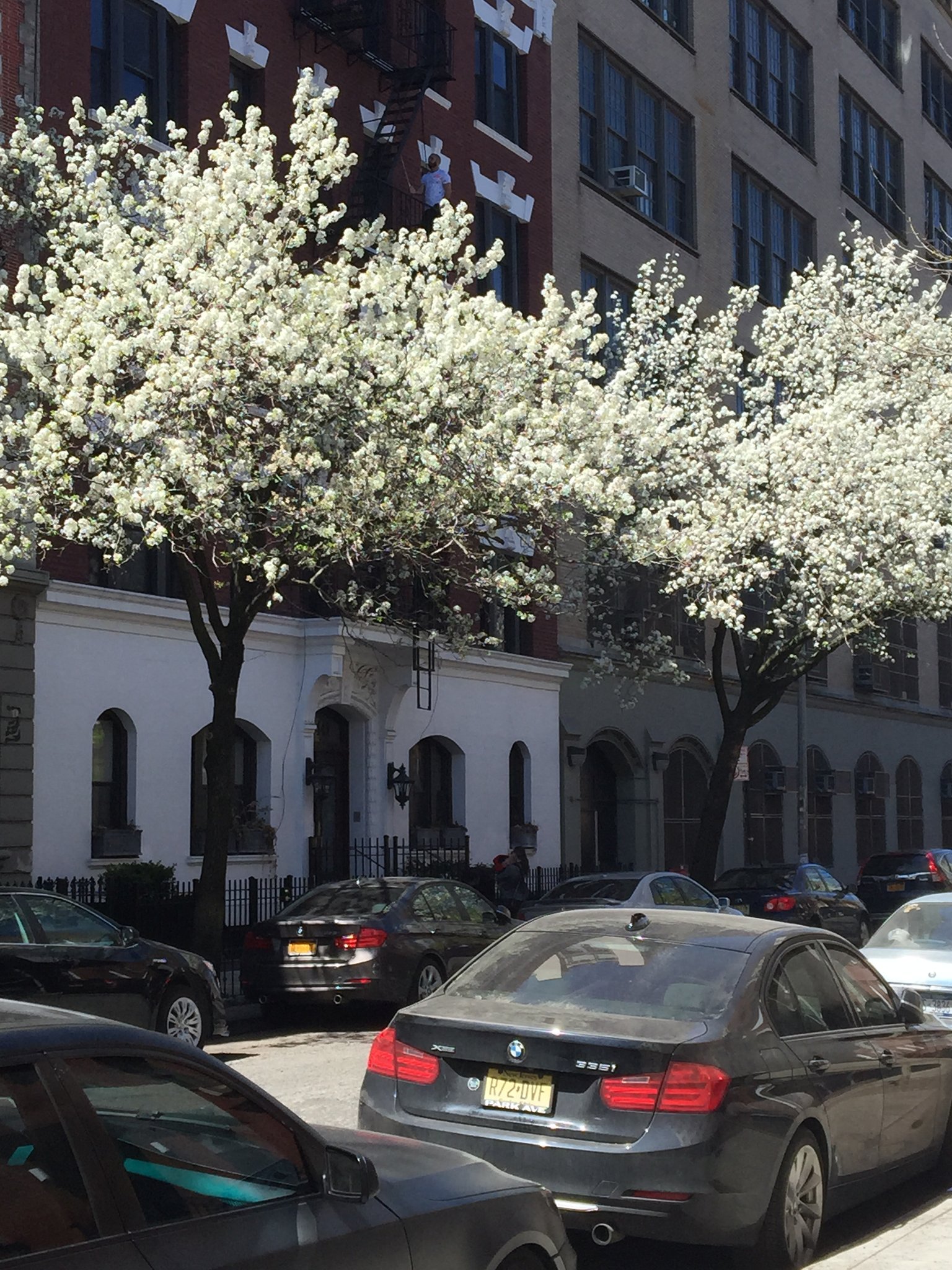 New York Apartment: 340 W 19th St