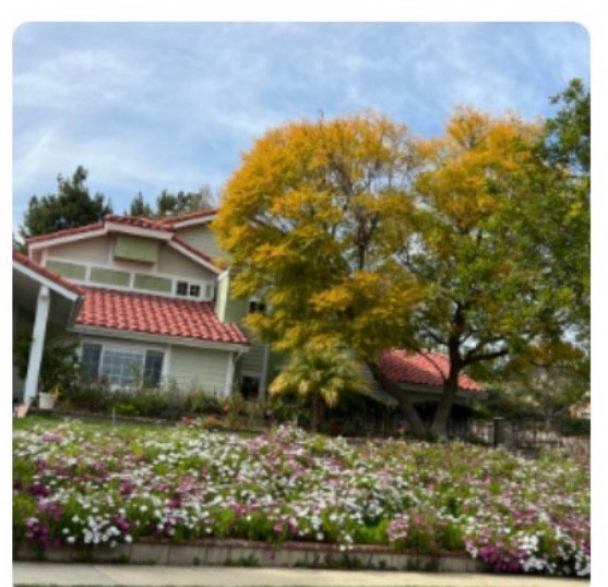 Chino Hills Single Room: 15428A Painter Drive,