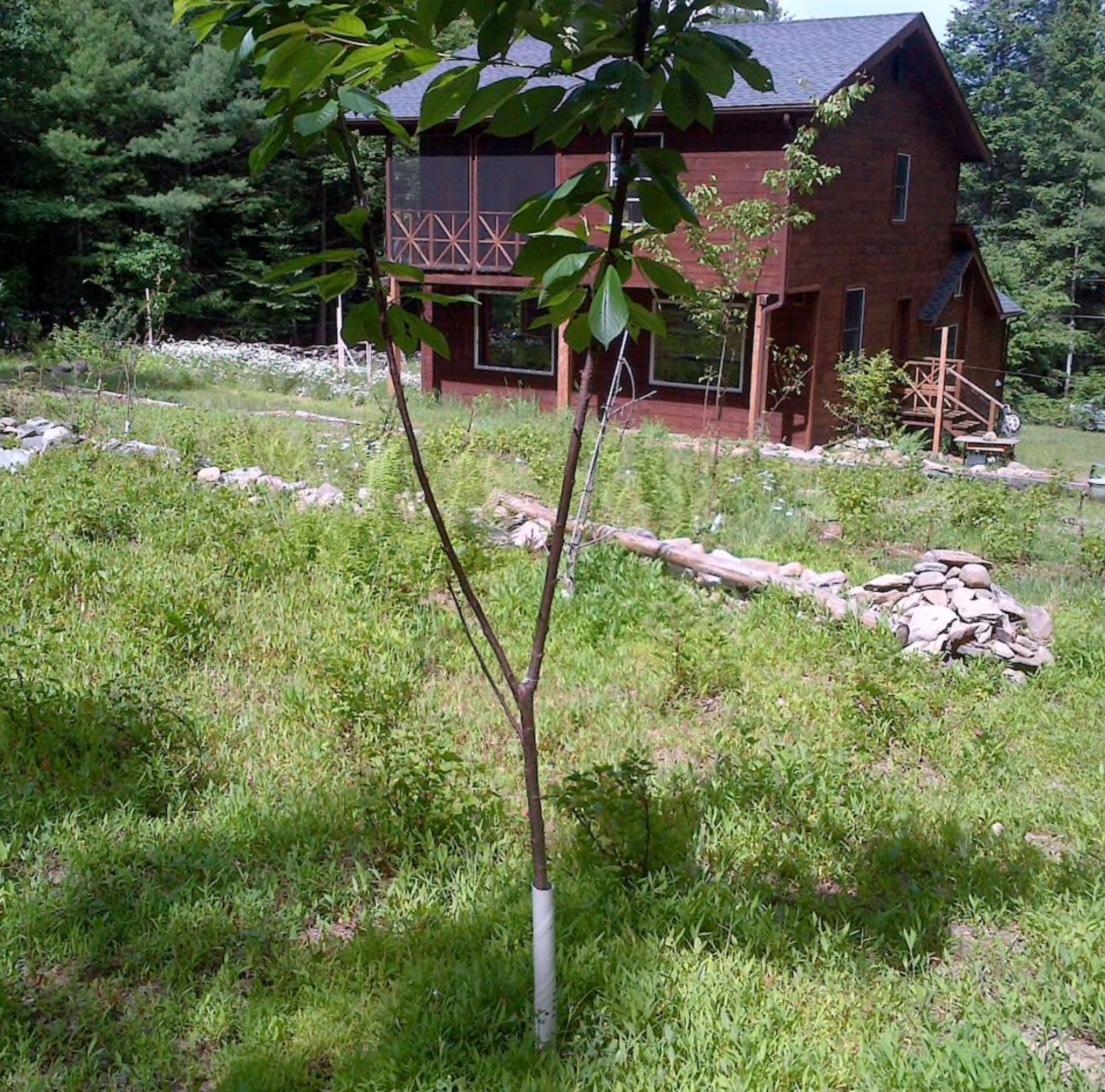 Kerhonkson Single Room: 43 Indian Rd