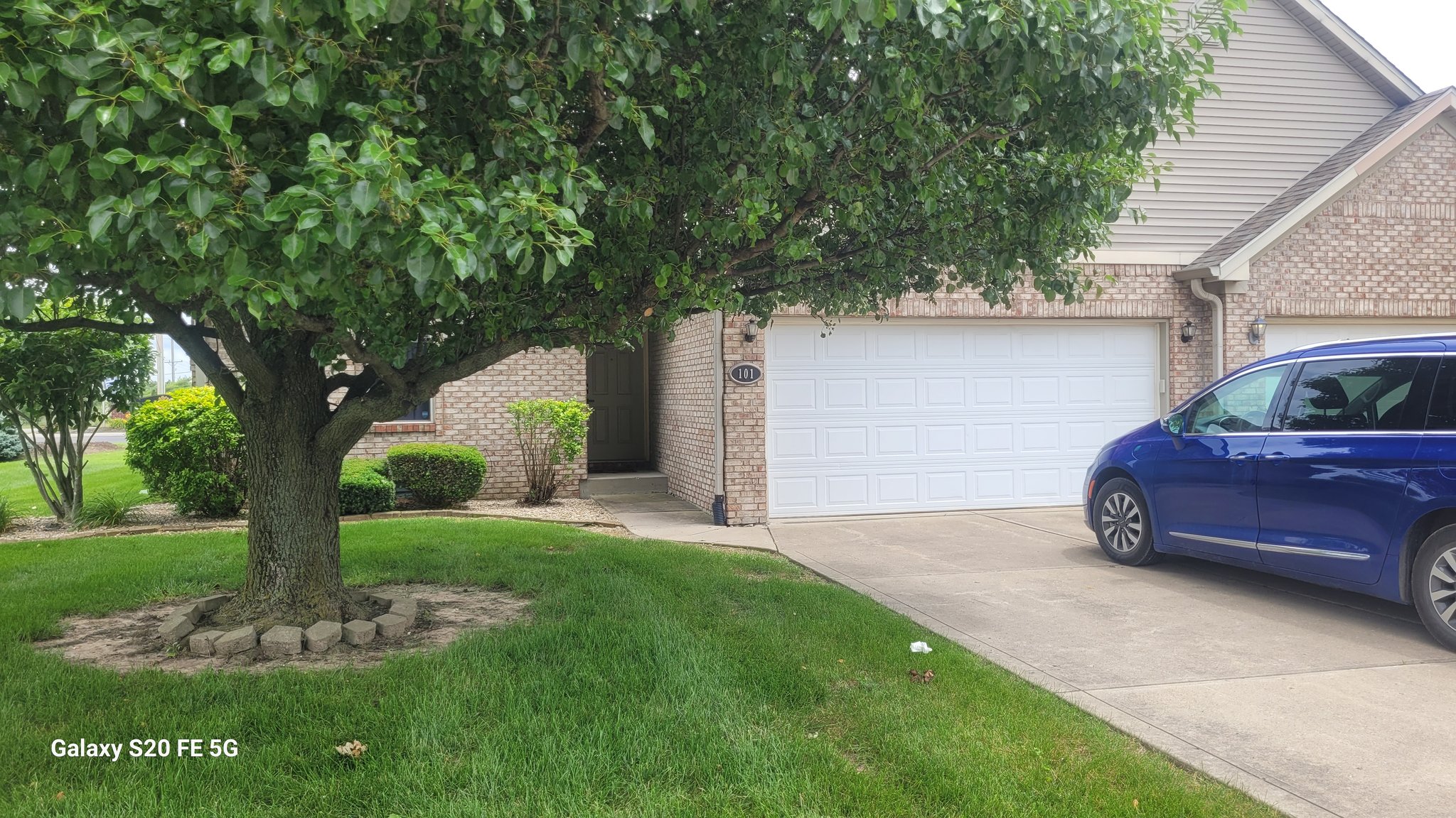 Danville Multiplex: 101 Country Court