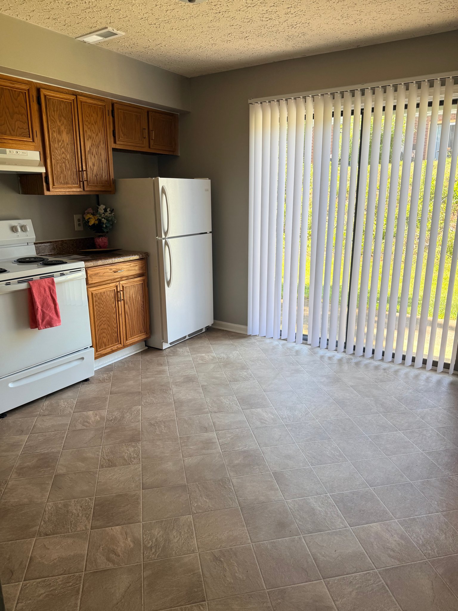 Lynchburg Townhome: 36 Ferguson Dr
