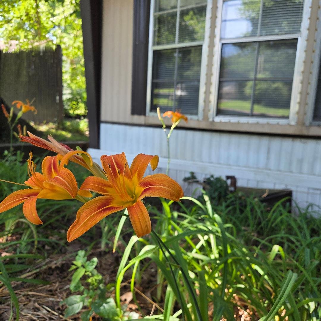 Fenton Other: 134 Coil Road