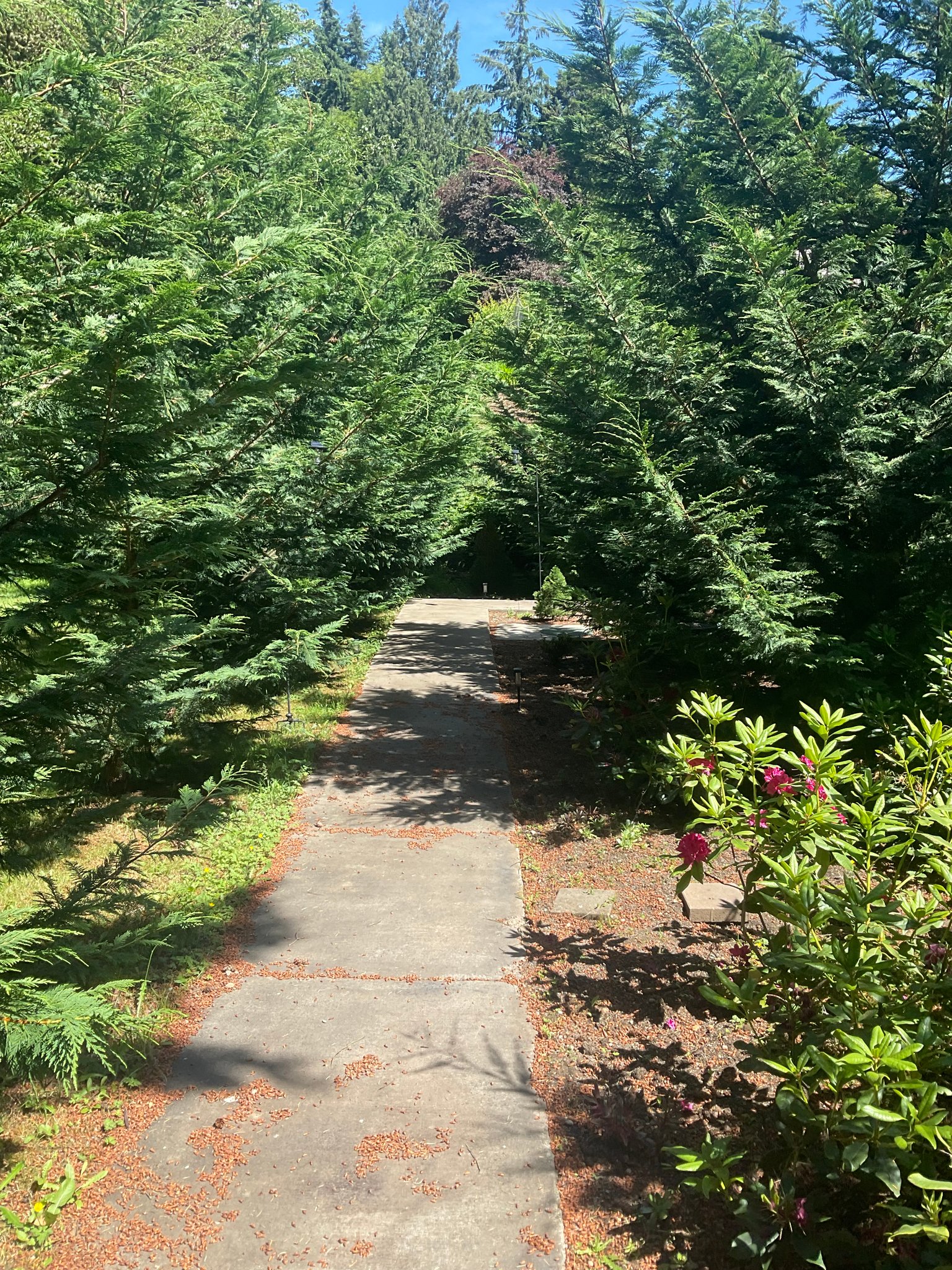 Bremerton Apartment: 4837 Sandra LN NE