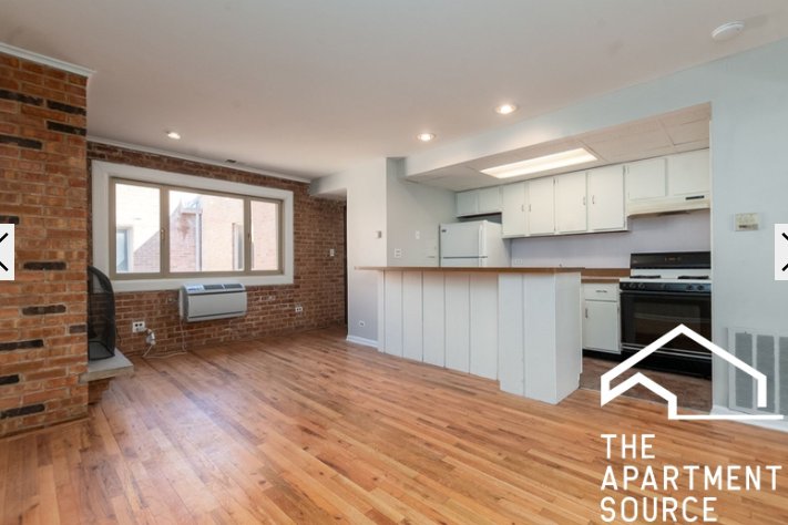 Chicago Condo: 663 West Melrose St