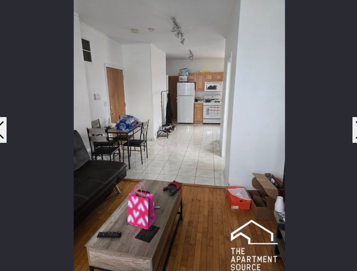 Chicago Condo: 1037 West Polk St