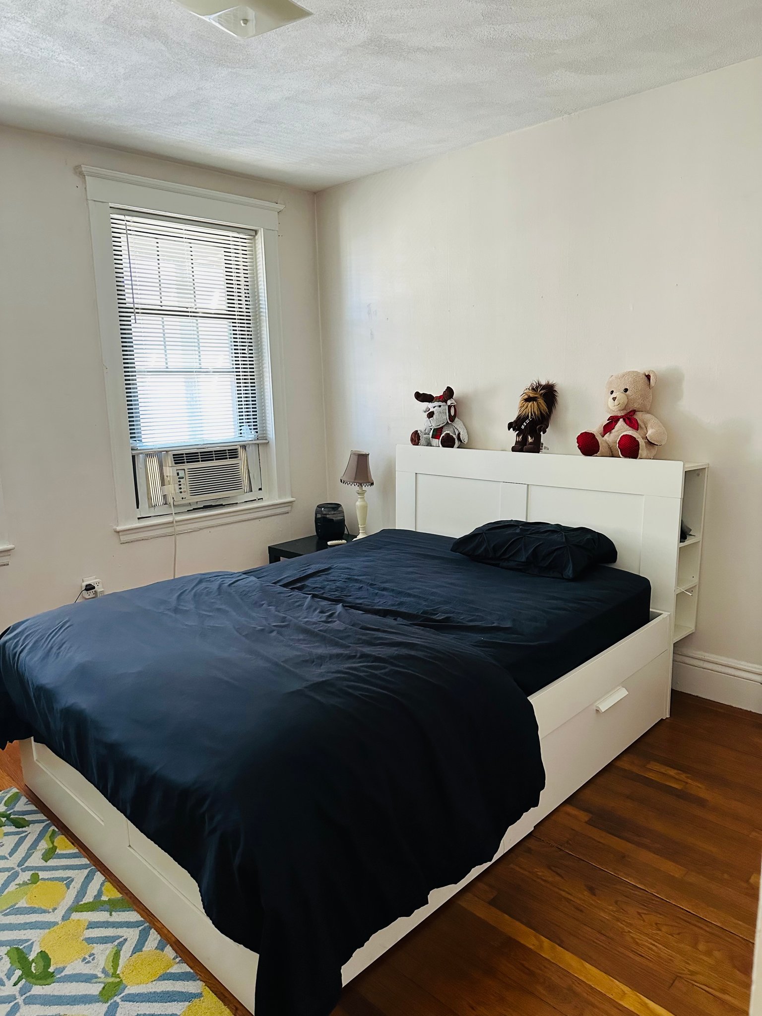 Brighton Condo: 1754 Commonwealth Ave