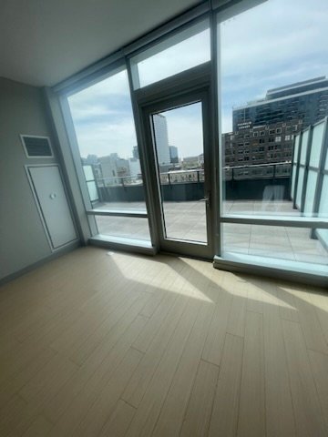 Chicago Condo: 913 N Wells