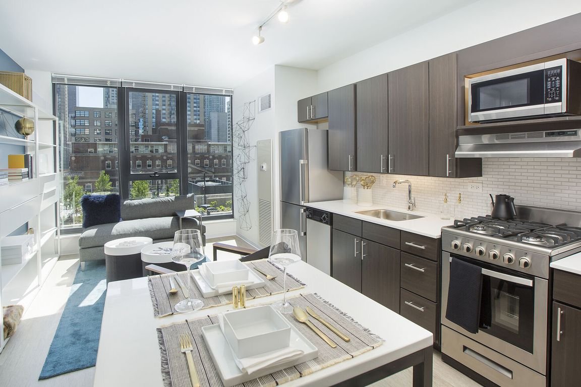 Chicago Condo: 729 N Wells St