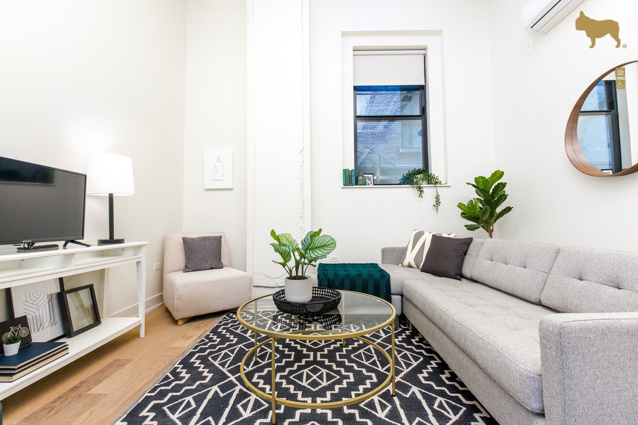 Chicago Condo: 29 E Adams St
