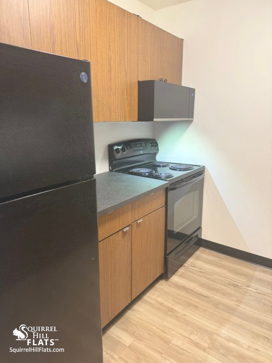 Pittsburgh Apartment: 6350 Forward Ave