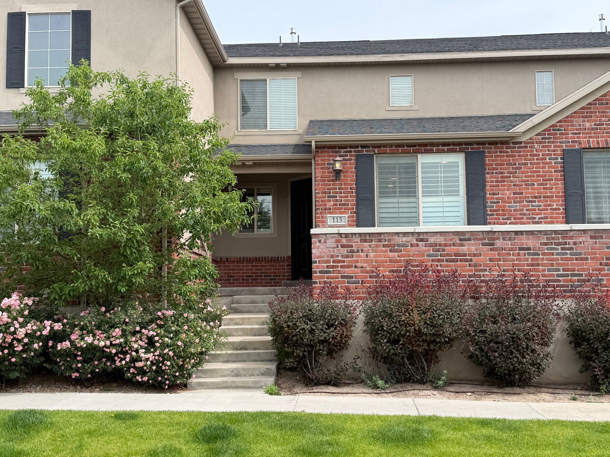 Lehi Townhome: 113 W 3430 N