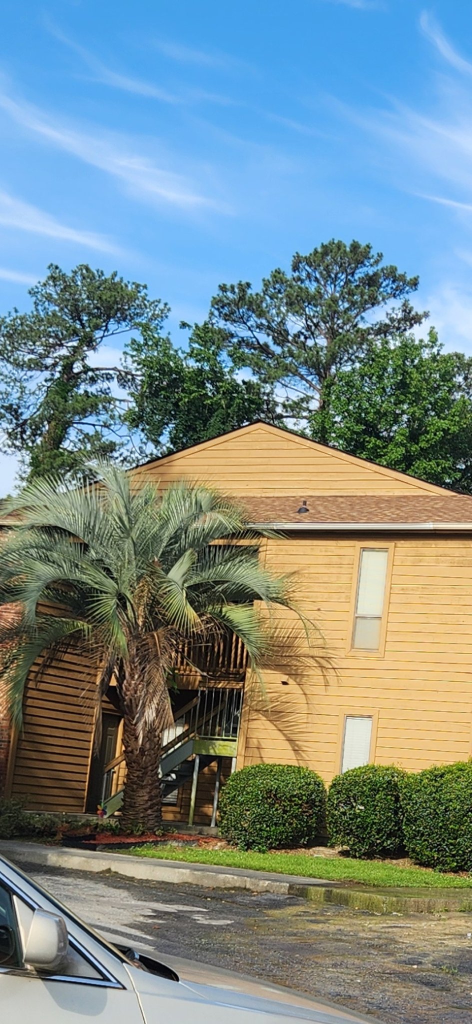 Columbia Condo: 207 Weddell St.