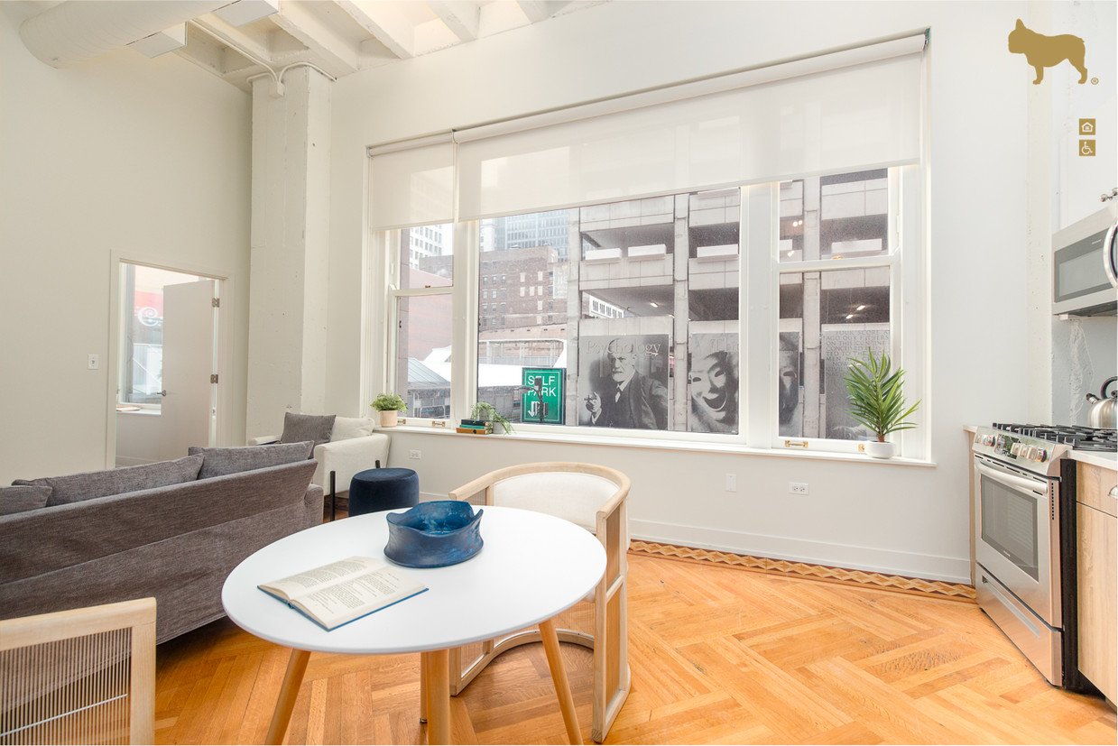 Chicago Condo: 84 E Adams St