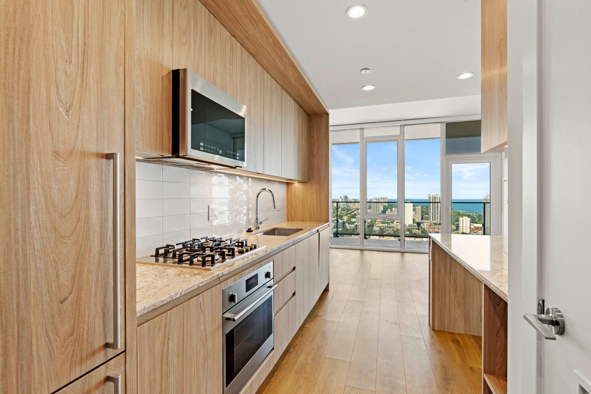 Chicago Condo: 338 W Hill St
