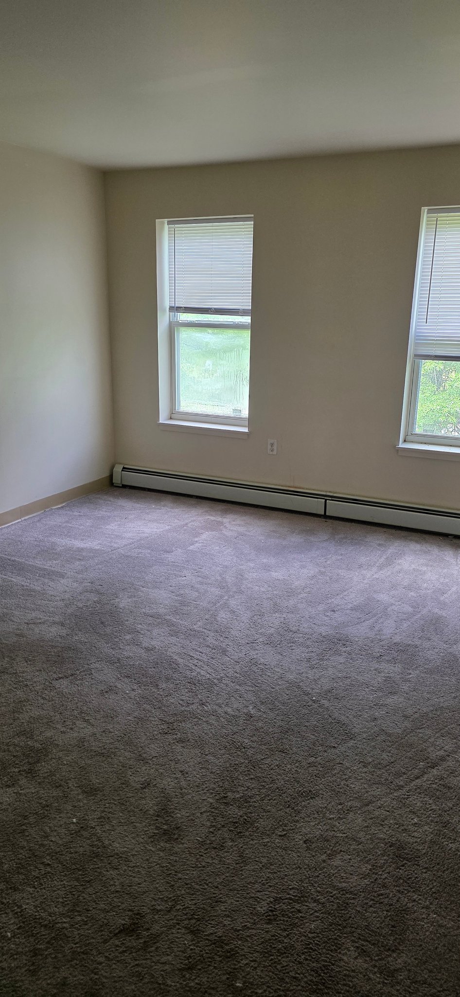Essex Apartment: 4 Carmichael Street