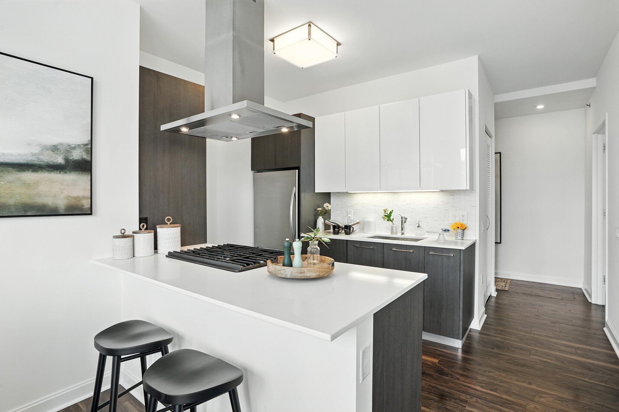 Chicago Condo: 221 North Clark Street
