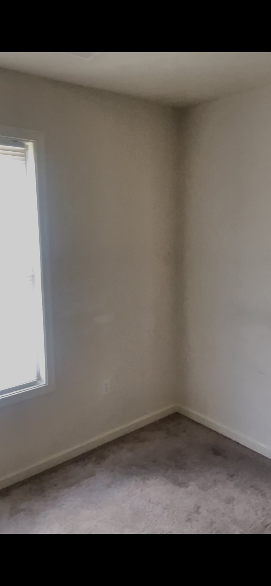 Inwood Single Room: 21 Matthew Ct