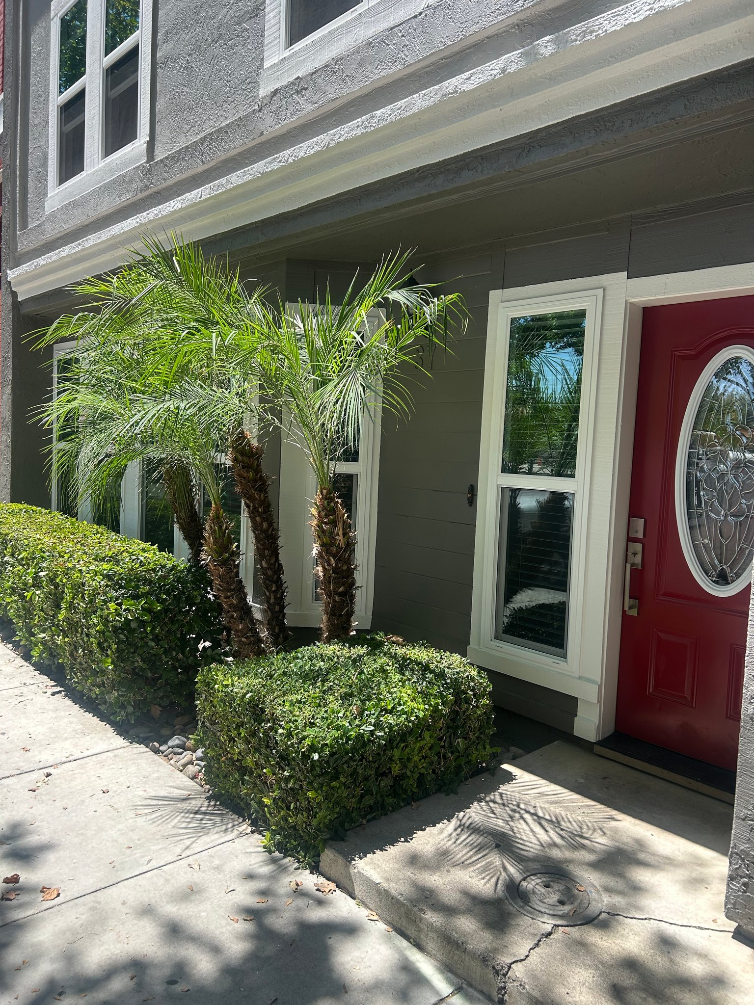 Tracy Condo: 37 e 6th street