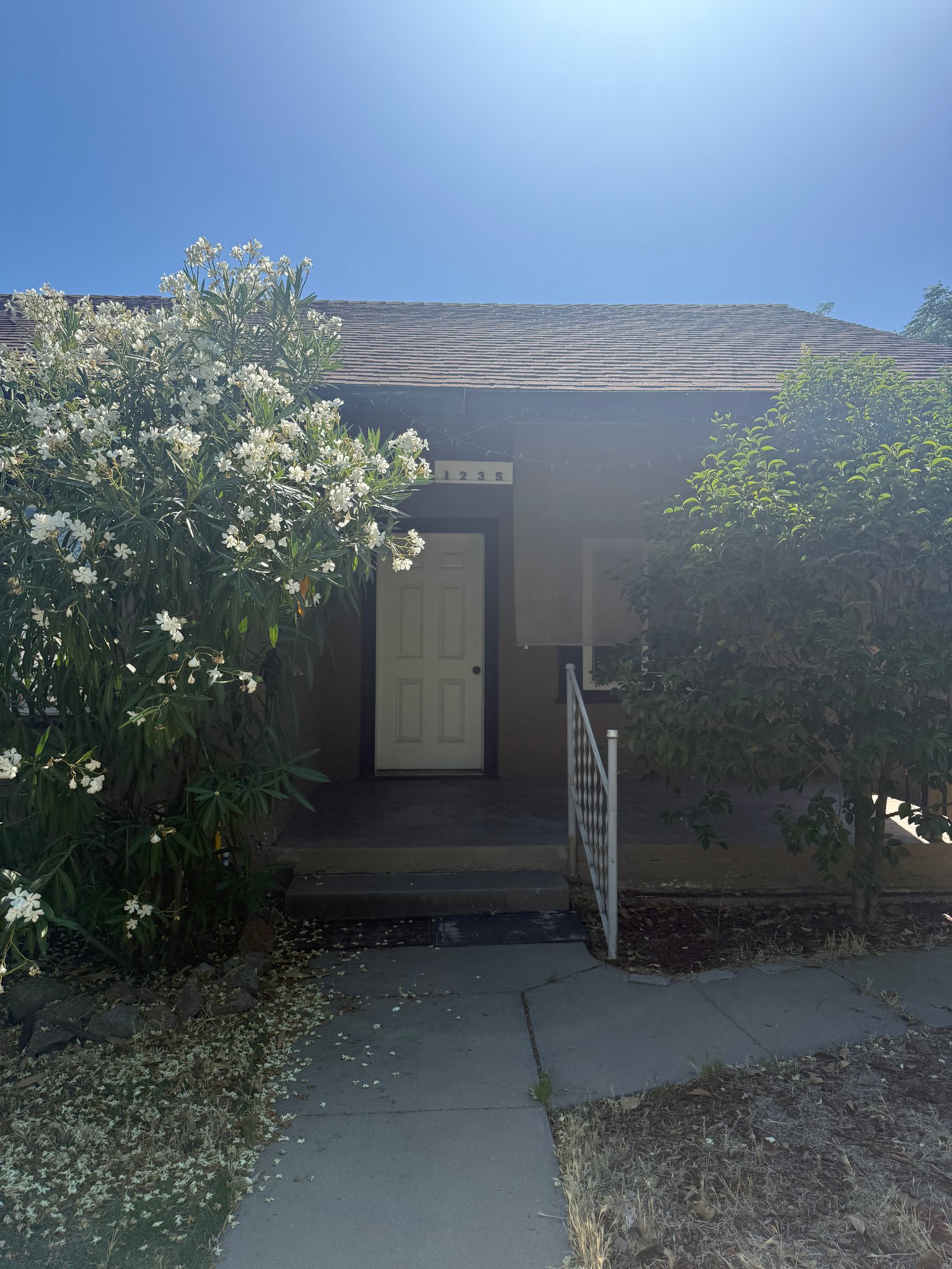 Newman Multiplex: 1235 N St