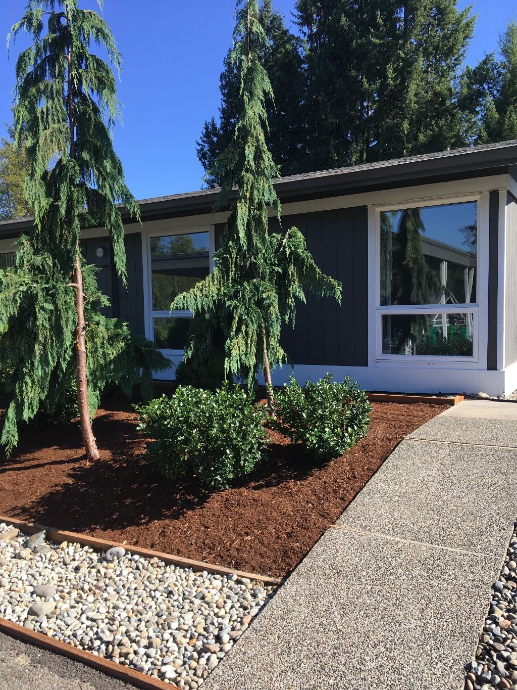 Olympia Other: 842 Phoenix St NE