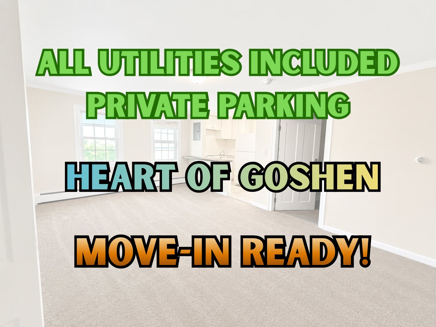 Goshen Apartment: 11 Webster Ave