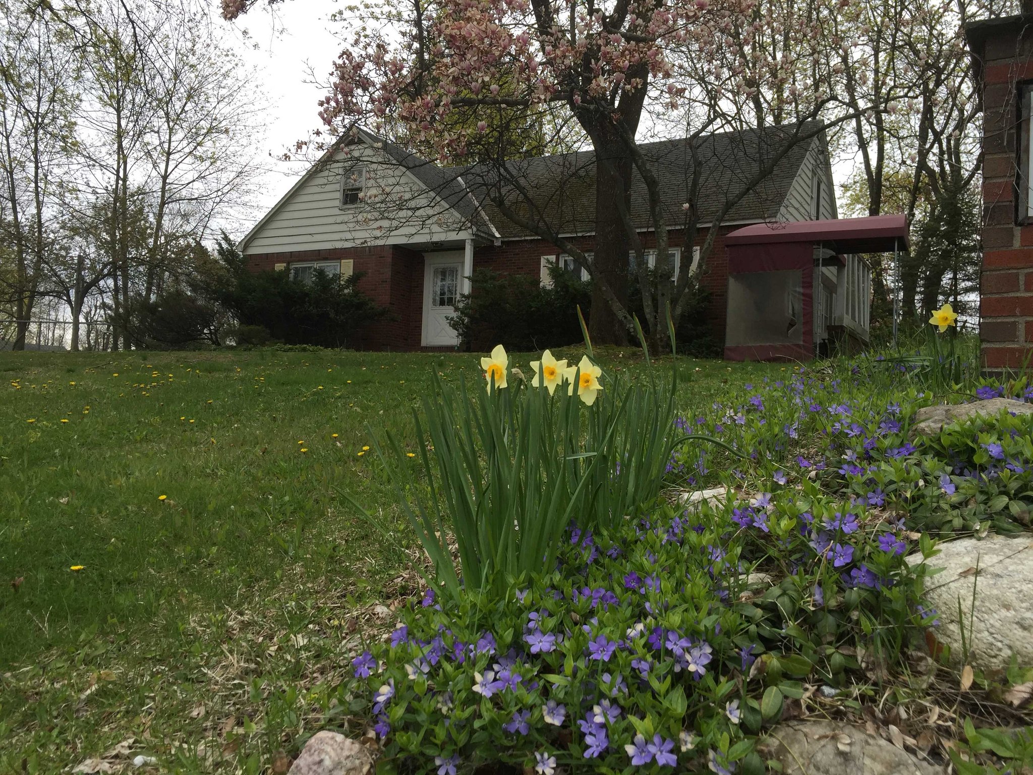 New Paltz Single Room: 84 S Manheim